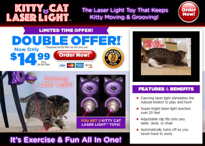 cat laser light