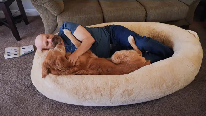 Plufl  The World's First Human Dog Bed